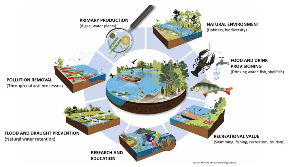 ECRR Feedback in support of the UN Decade on Ecosystem Restoration 2021-2030