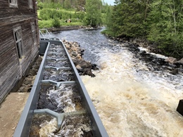 A pan-European survey on river continuity restoration.