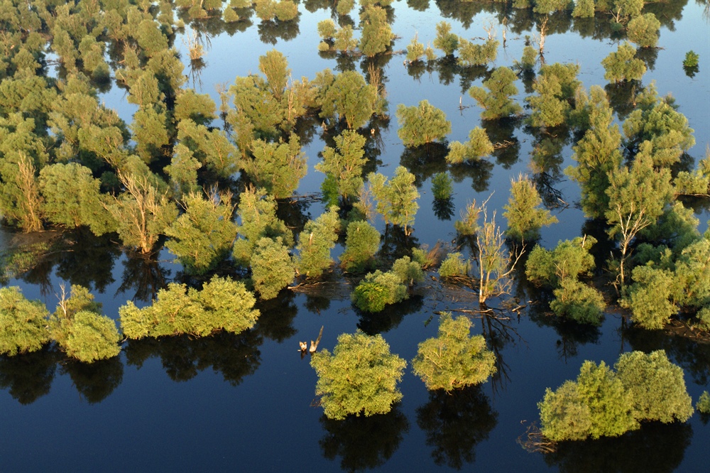 Existing initiatives for implementing the EU Biodiversity Strategy and the EU Green Deal