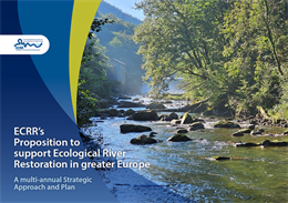 ECRR Strategy Proposition 2025 - 2027