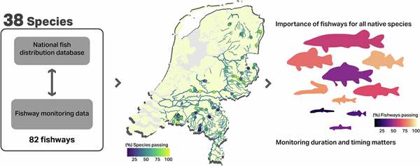 A large-scale passage evaluation for multiple fish species: Lessons from 82 fishways in lowland rivers and brooks