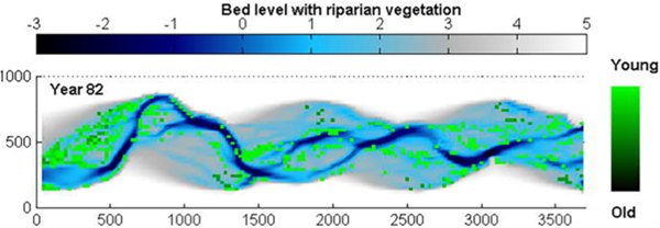 Modelling restoration of natural flow regimes in dam impaired systems: Biomorphodynamic effects and recovery times.