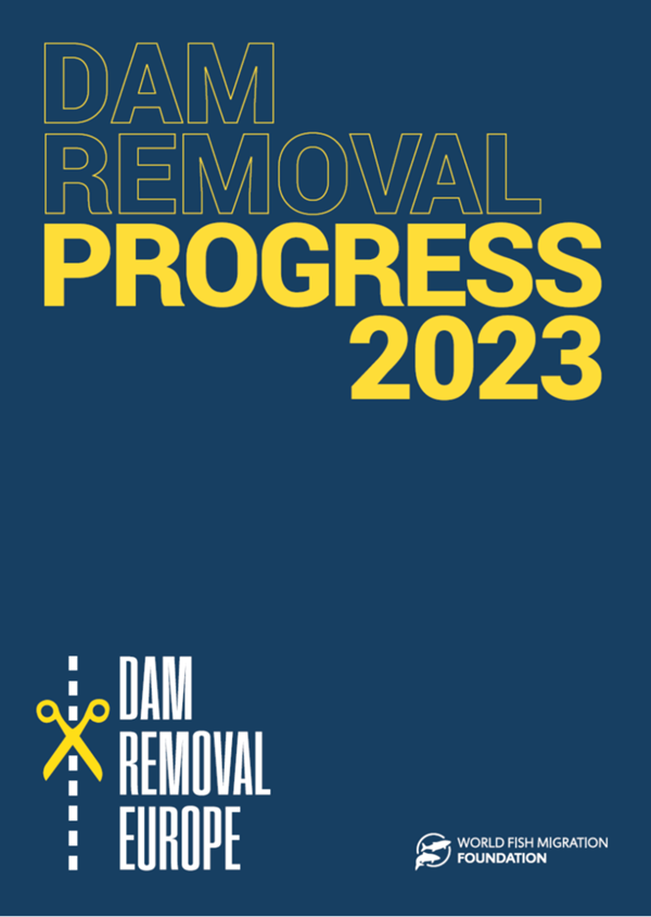DAM REMOVAL PROGRESS 2023