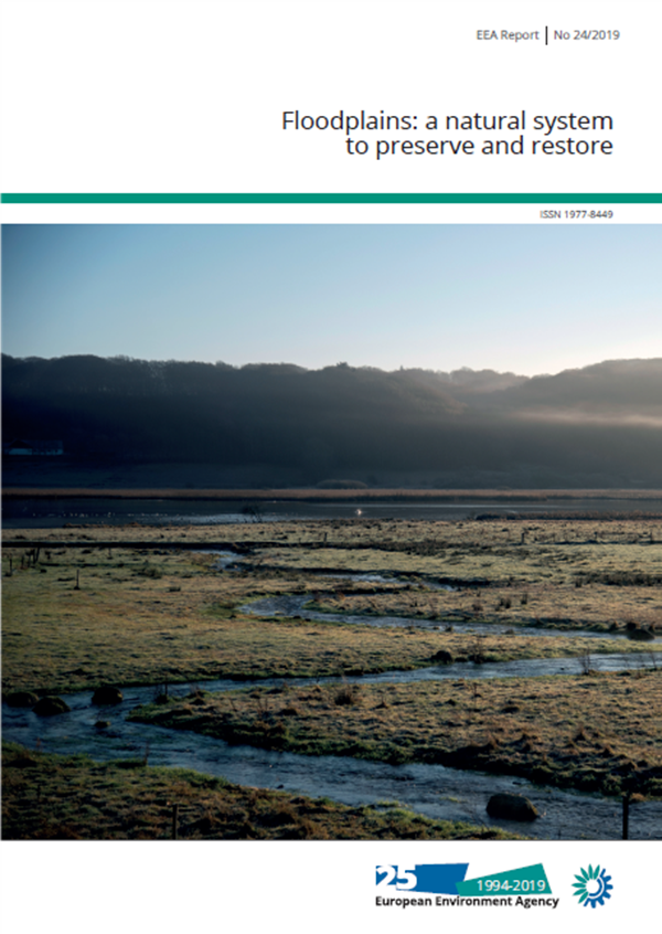 Floodplains: a natural system to preserve and restore.