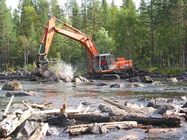 ECRR Technical Newsletter 2 - 2020, November