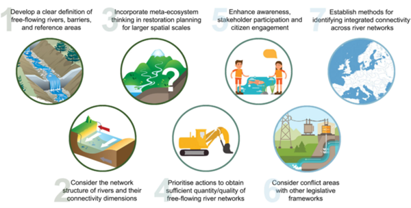 Reviving Europe's rivers: Seven challenges in the implementation of the Nature Restoration Law to restore free-flowing rivers.
