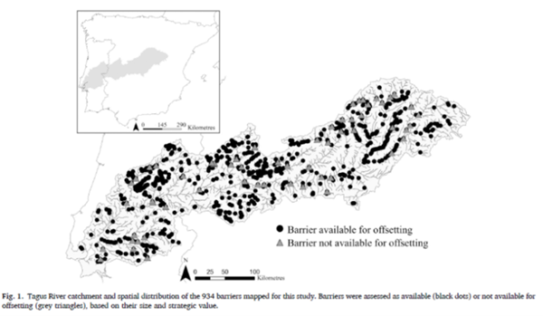 Offsetting connectivity loss in rivers: Towards no-net-loss approach for barrier planning