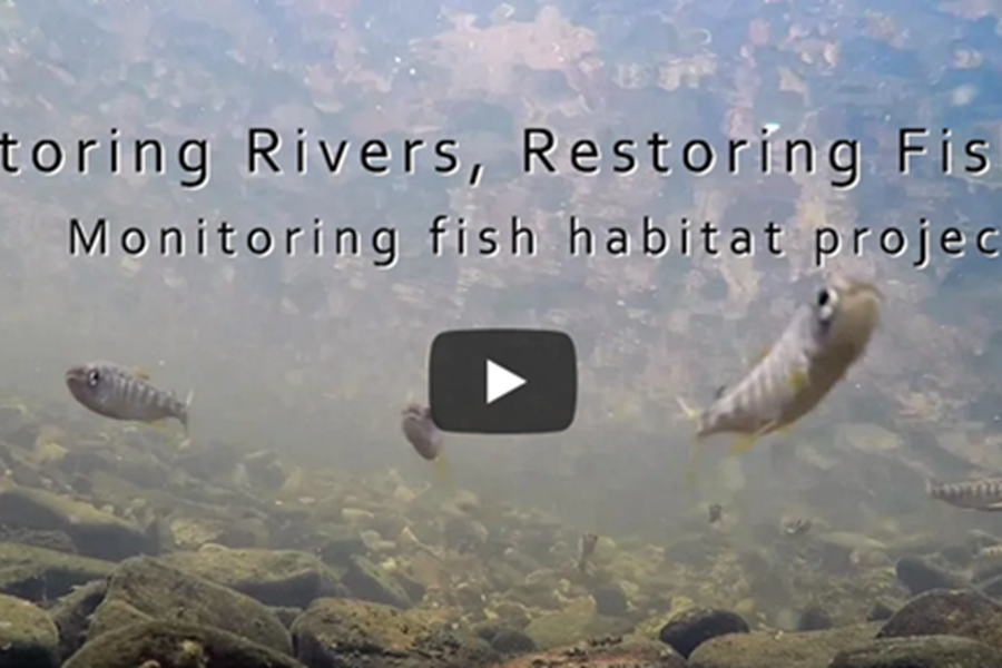 Restoring Rivers, Restoring Fish