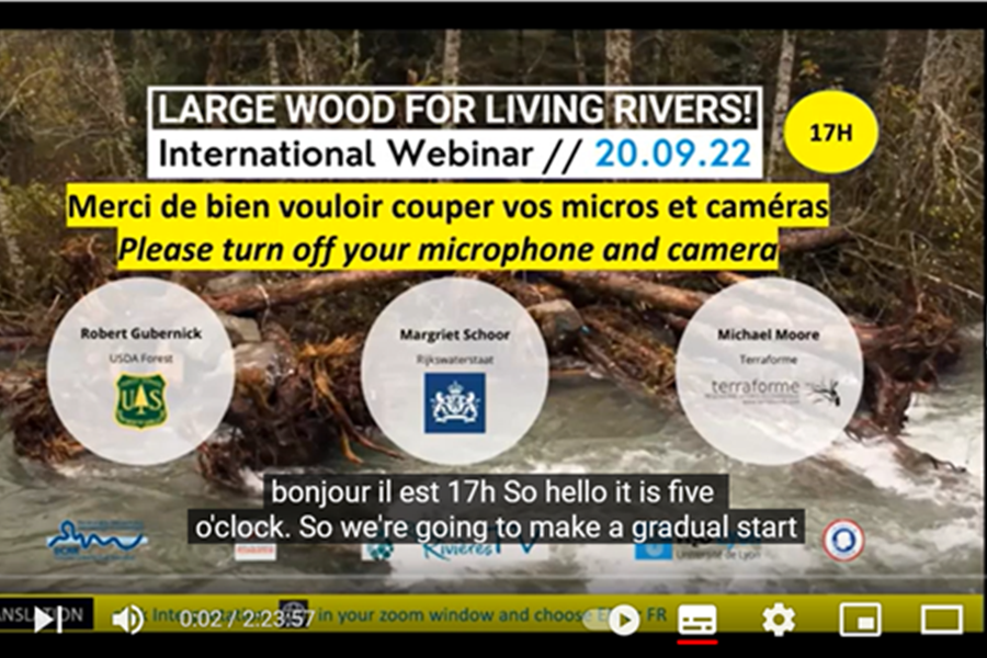 Large wood for living rivers