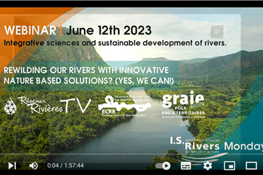 Rewilding our rivers with innovative Nature-based solutions (yes, we can!)