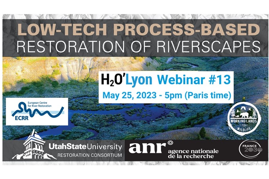 Low-tech process based restoration of river scapes. How to make our rivers great again.