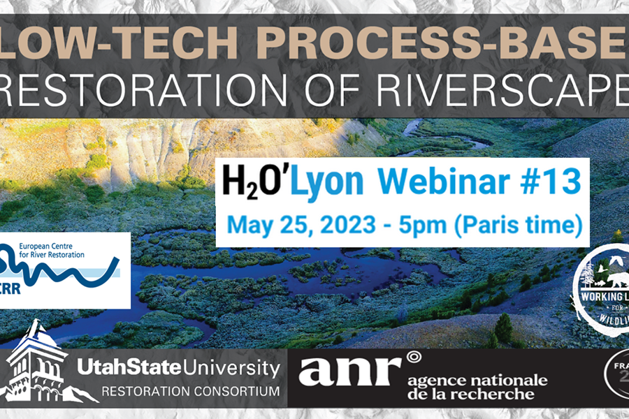 Low-tech proces based restoration of river scapes. How to make our rivers great again!