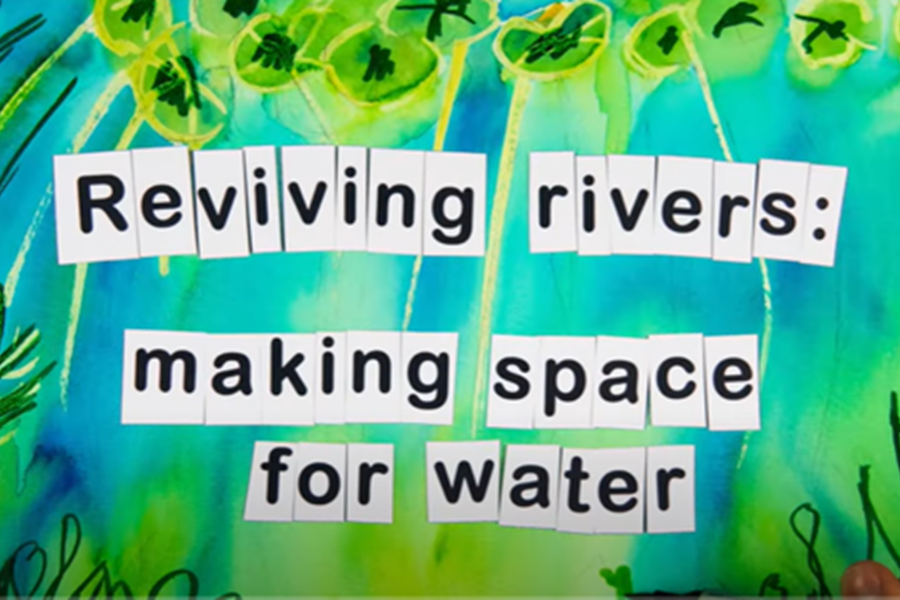 Reviving Rivers: making space for water