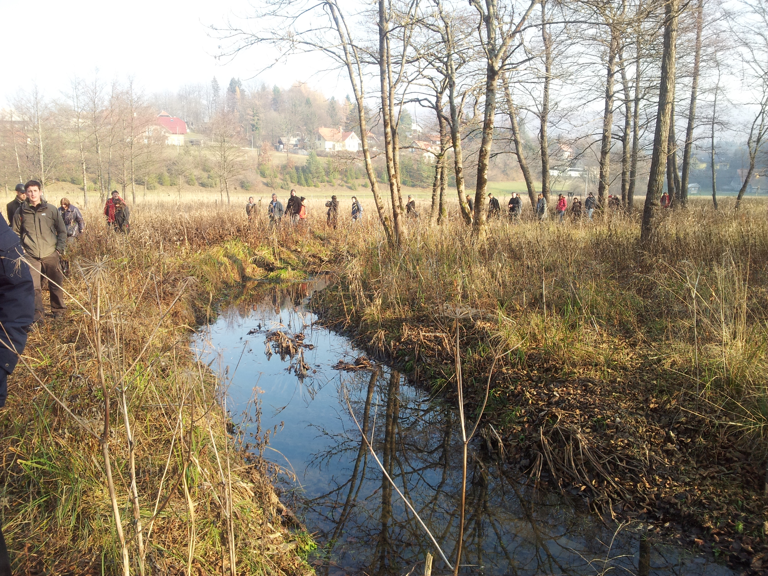 Field visit Seminar Forging Targets and Solutions for Rivers and Water Ecosystem Restoration. Ljubjlana, Slovenia, 16-18 November 2010.