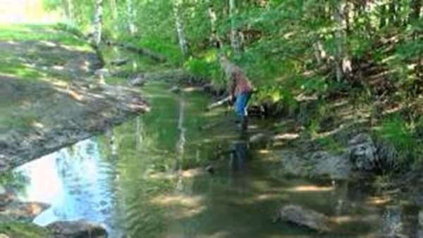 Restoring an Urban Brook by Voluntary Work