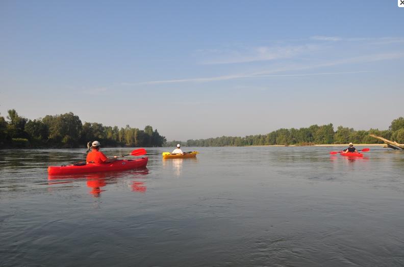 Canoe trip on Drava river, Danube - The Amazon of Europe - By Arno Mohl-WWF